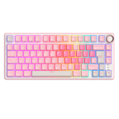 TECLADO MECANICO ROYAL KLUDGE RK-R75 RGB CABLEADO 75% ESP (SW-CREAMY) PINK MELODY