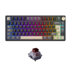 TECLADO MECANICO ROYAL KLUDGE RK-R75 RGB CABLEADO 75% ESP (SW-BROWN) PHANTOM