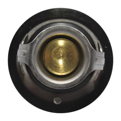 TERMOSTATO FRONTIER PREGIO 881