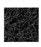 PISOS PVC TIPO NOMAD MEDIANO TRAFICO 12 MM X 1.22 MT X 12 MT