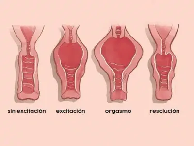 Todas somos Orgásmicas