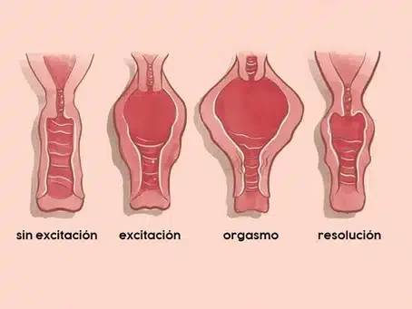 Todas somos Orgásmicas