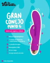 Gran Conejo punto G