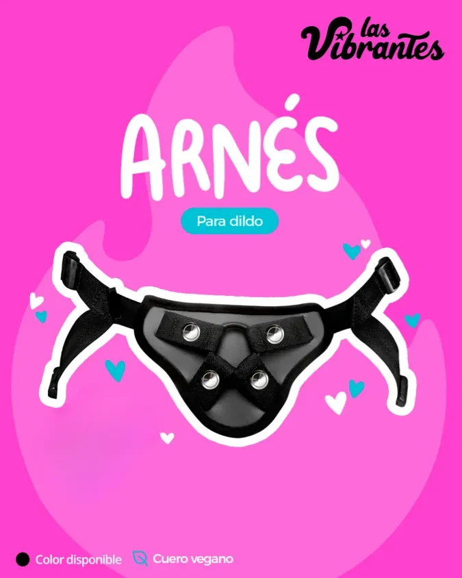 Arnés1
