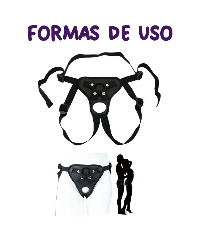 Arnés2