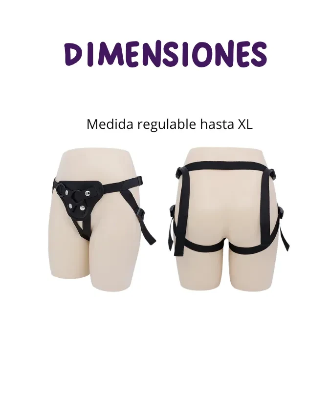 Arnés3