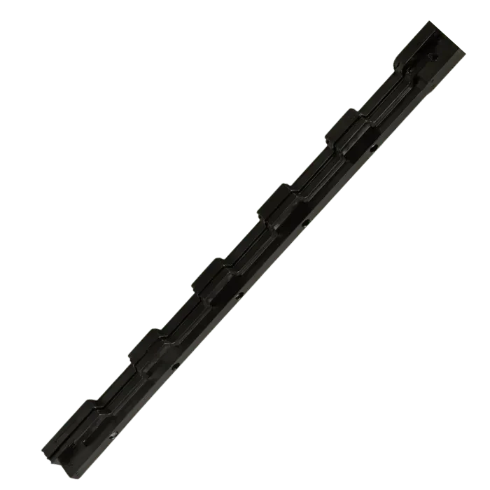 CLIPS1