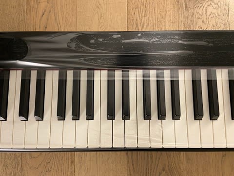 Digital 88 teclas Casio Privia PX S1100 (SKU:2653) | Instrumentos