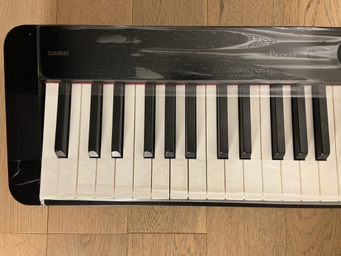 Digital 88 teclas Casio Privia PX S1100 (SKU:2653) | Instrumentos