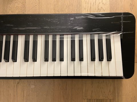 Digital 88 teclas Casio Privia PX S1100 (SKU:2653) | Instrumentos