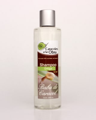 Caracoles a la obra Shampoo Ortiga