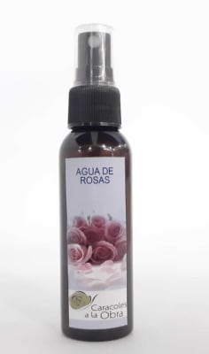 Caracoles a la obra Agua de Rosas