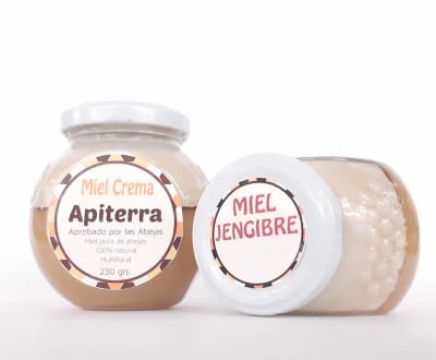 Apiterra Cremada Jengibre 230gr.