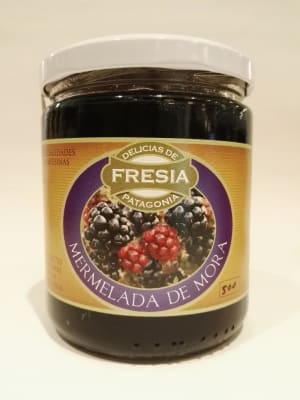 Delicias de Fresia Mermelada Mora 500 gr.