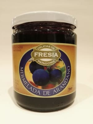 Delicias de Fresia Mermelada Arándano 500 gr.