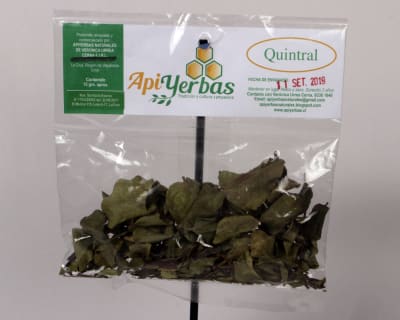 Apiyerbas Quintral 15grs.1