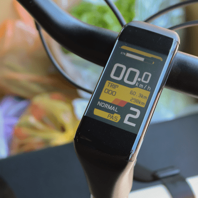 Tecnología y Vanguardia en Bicicletas Eléctricas