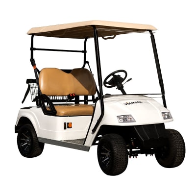 Carro Eléctrico de Golf para 2 Personas