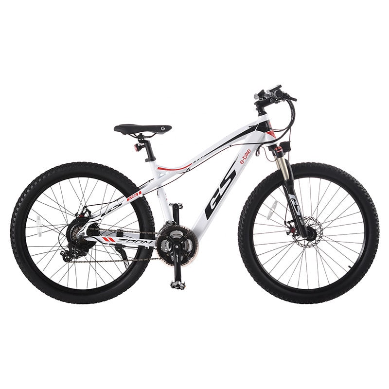 Bicicleta Eléctrica MTB Modelo IAMES1