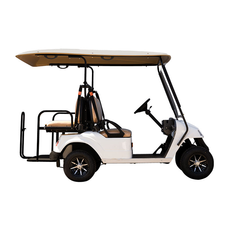 Carro Eléctrico Utilitario para 4 Personas2