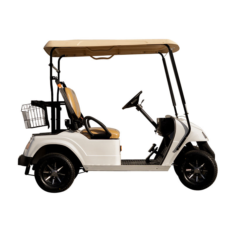 Carro Eléctrico de Golf para 2 Personas2