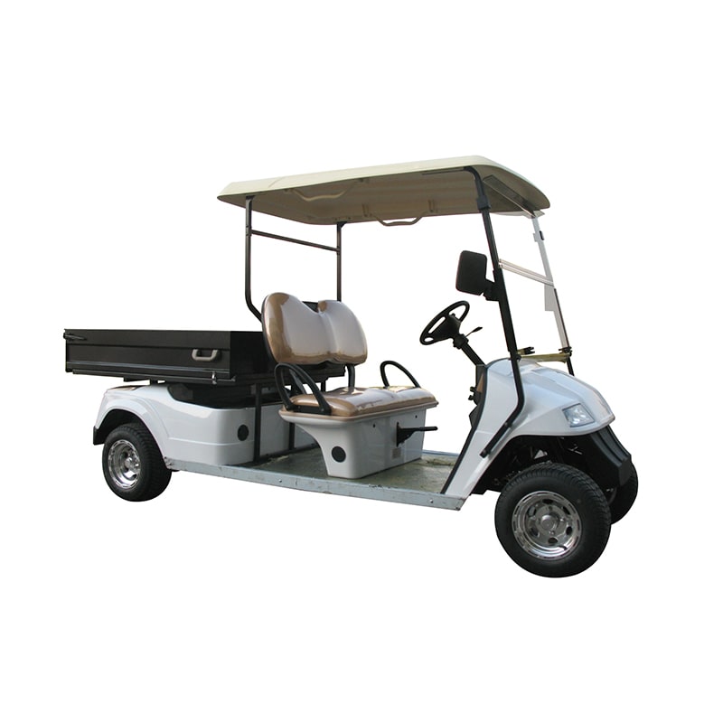 Carro Elétrico Con Pickup Manual1