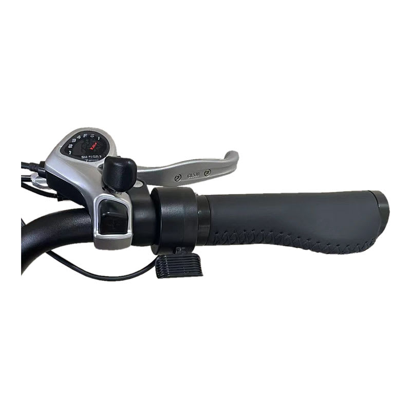 Bicicleta Eléctrica Familiar Modelo Langes2