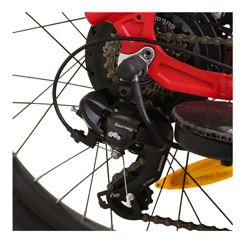 Bicicleta Eléctrica Familiar Modelo Langes4