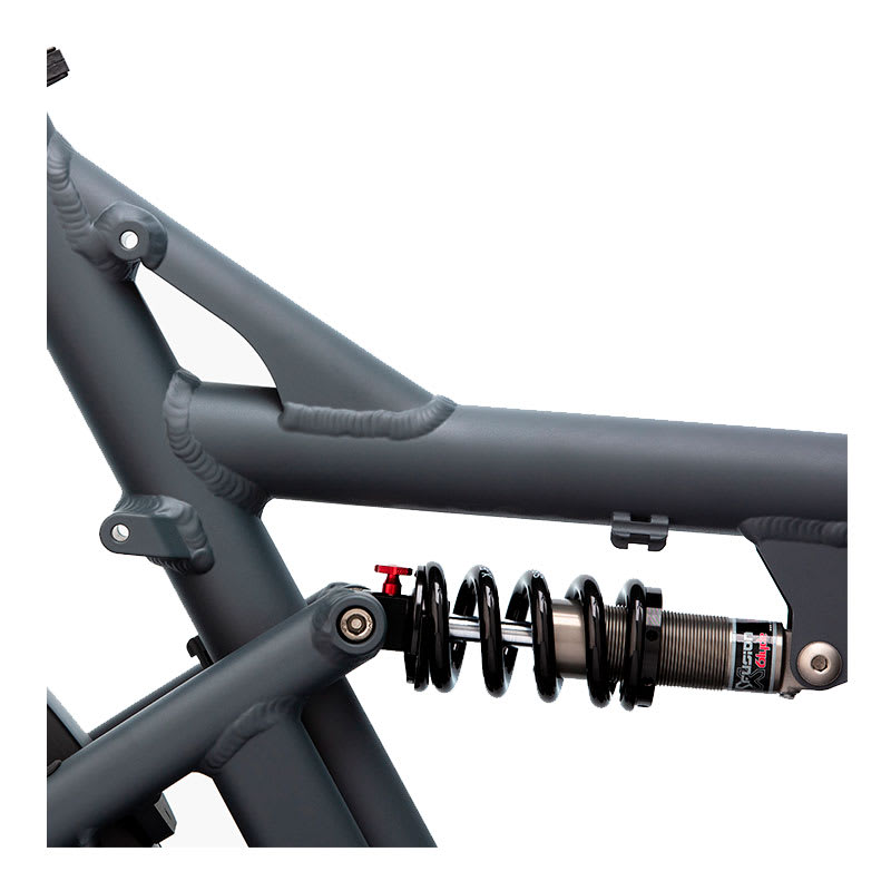 Bicicleta Eléctrica Riese & Müller Modelo Load 75 Touring3