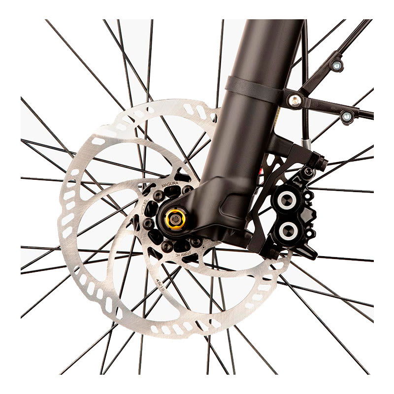 Bicicleta Eléctrica Riese & Müller Modelo Multicharger GT Touring2