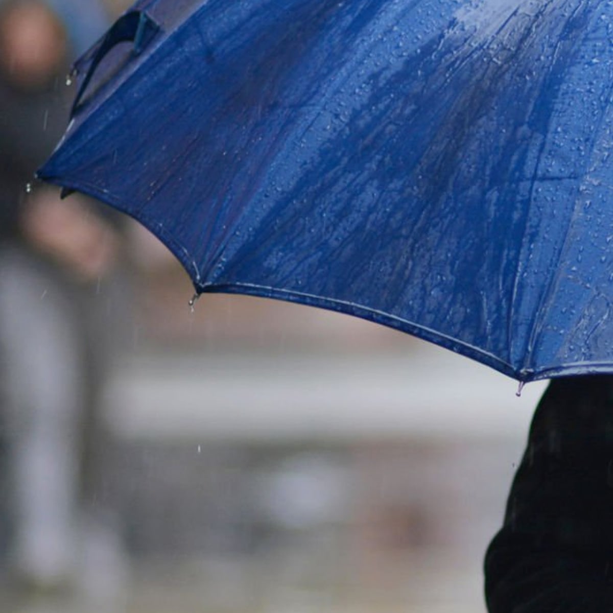 Paraguas Ejecutivo Grande Reforzado – Azul Marino4