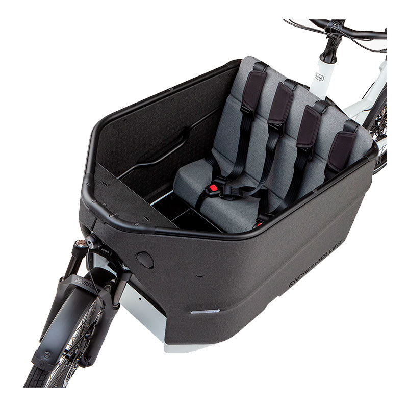 Bicicleta Eléctrica Riese & Müller Modelo Packster 70 Family2