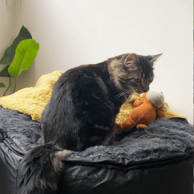 Sofá Pouf Cama Para Mascotas Modelo Medium pet5