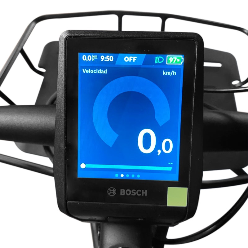 Bicicleta Eléctrica Riese & Müller Modelo Roadster Mixte2