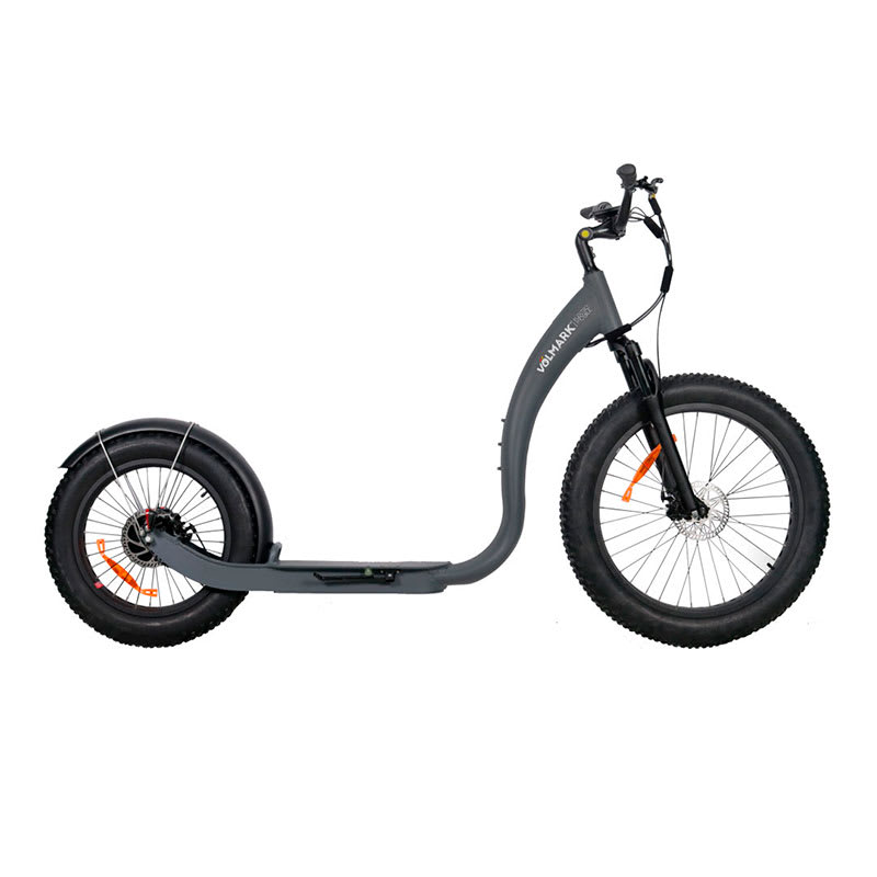 Scooter Eléctrico Modelo Monster1