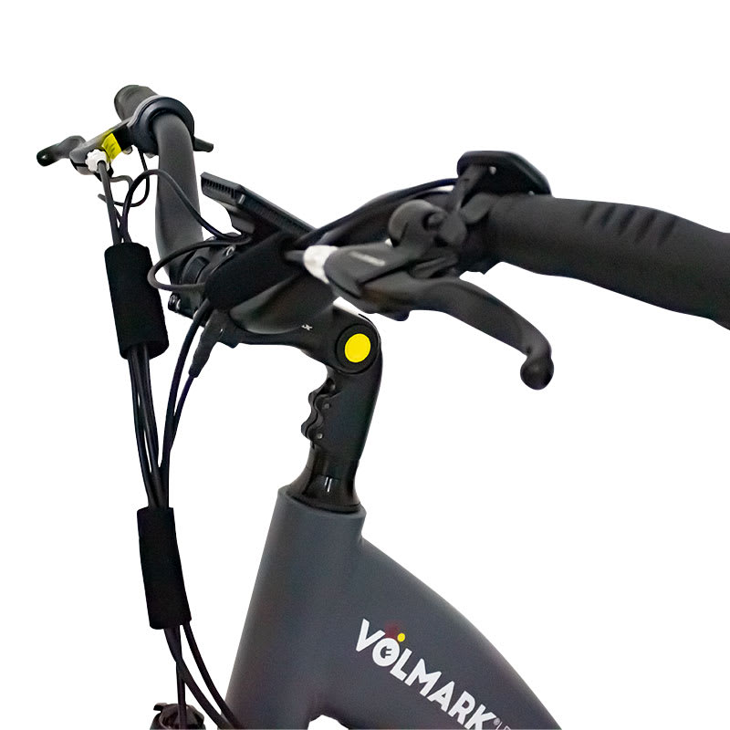 Scooter Eléctrico Modelo Monster2