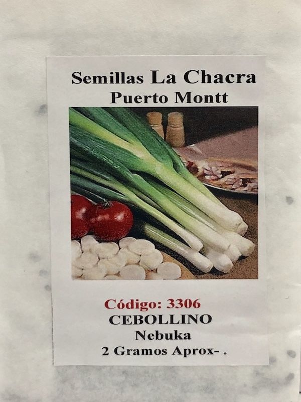 Cebollino Nebuka | Semillas La Chacra