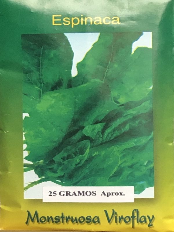 Espinaca Monstruosa Viroflay 25 Gramos. | Semillas La Chacra