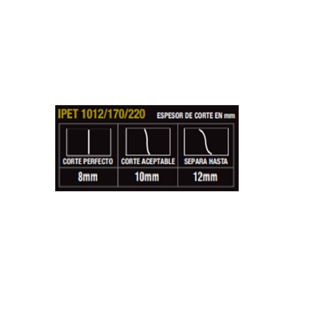 SOLDADORA TIG-ARCO-CORTA PLASMA 170A IPET1012/170/220 NEO3