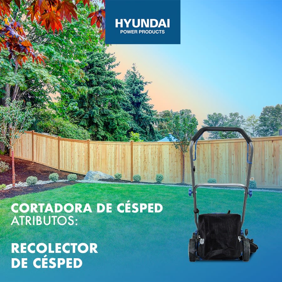 CORTADORA DE PASTO MANUAL 18