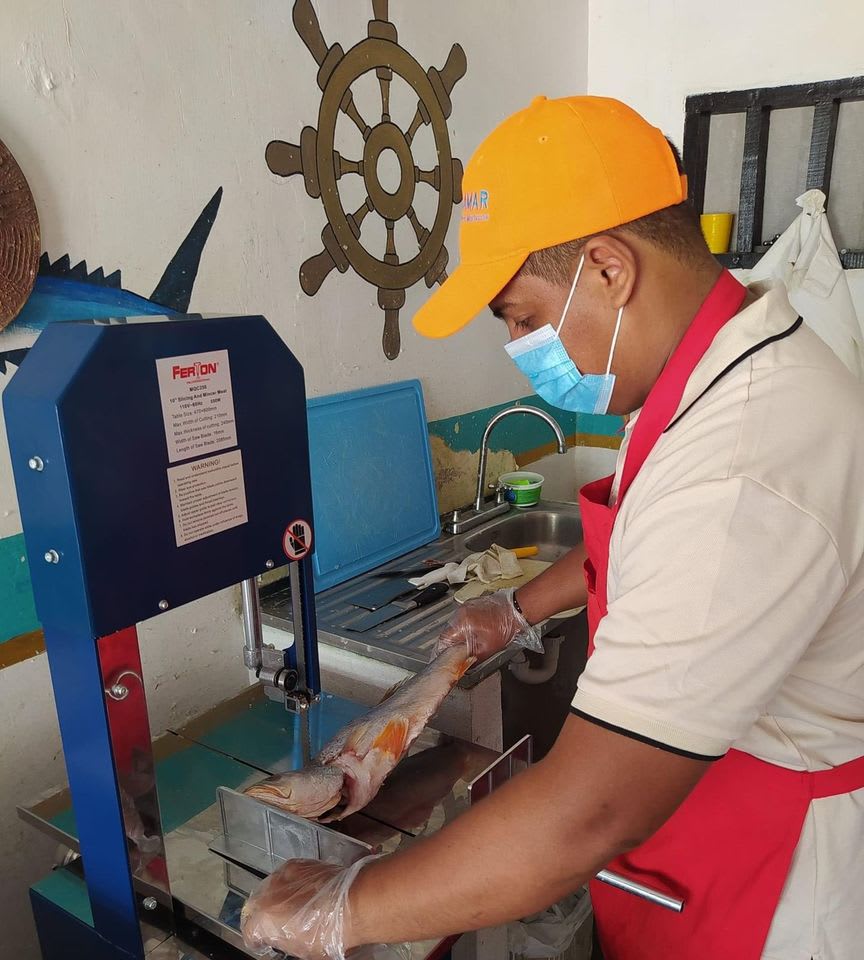 Sierra Carnicera y Cortadora de Hueso FERTON3