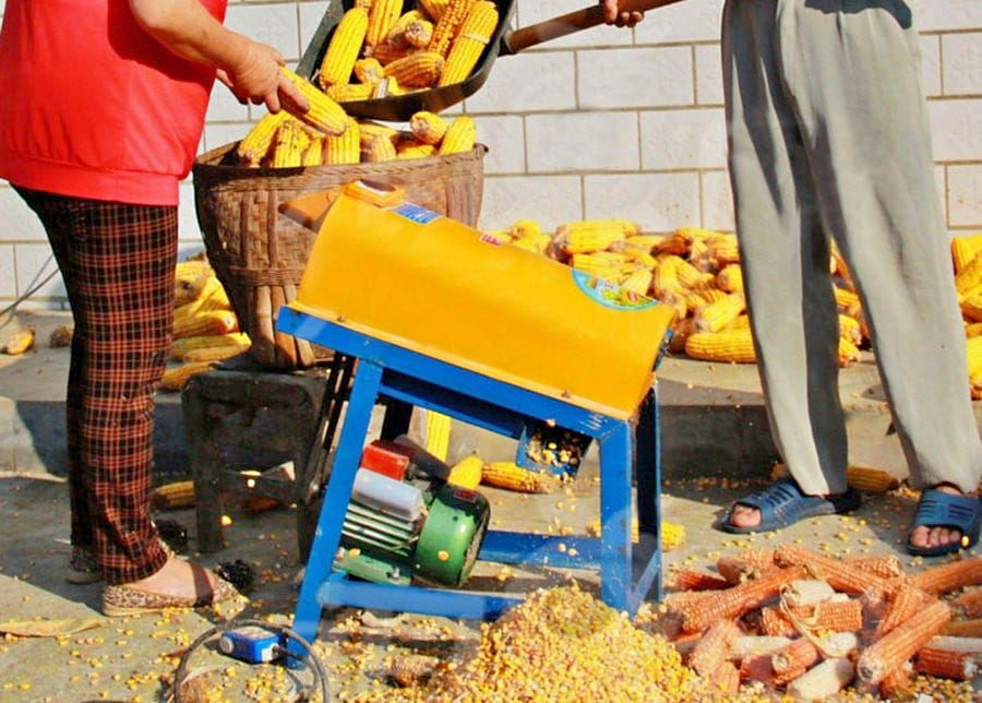 Desgranadora Eléctrica de Maíz 220V1