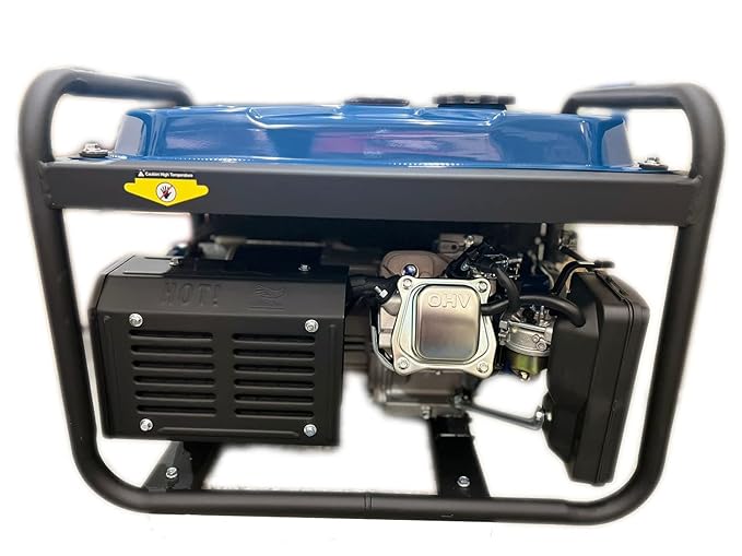 Generador de gasolina Dong Cheng DF36003