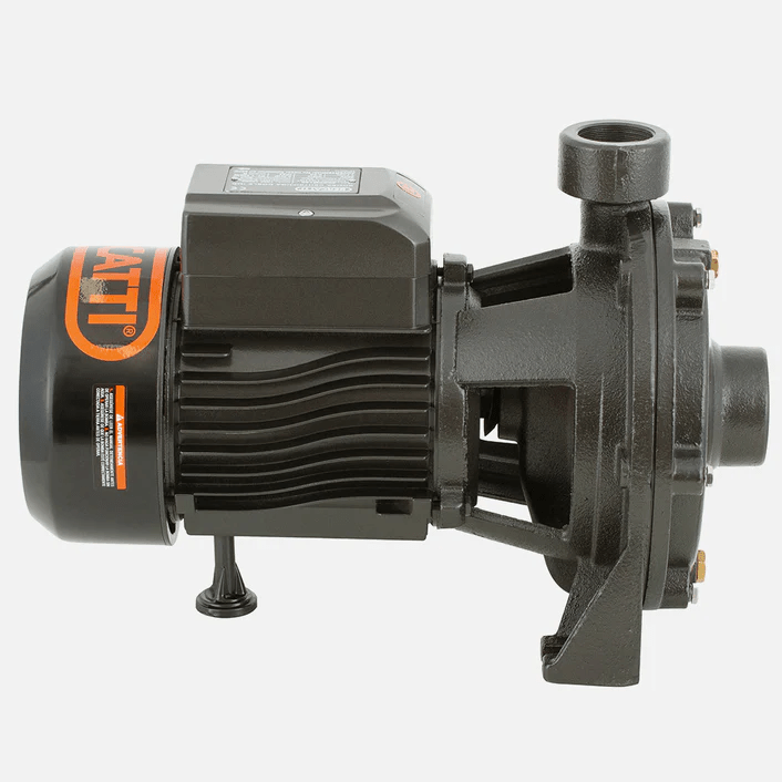 Bomba Superficie Centrífuga Doble Impulsor 1,5HP BERCATTI 2SGPM1401