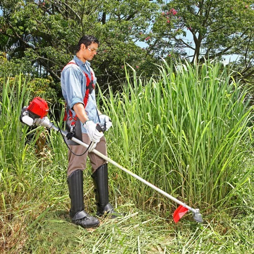 Desbrozadora  Ferton Profesional CPGX353