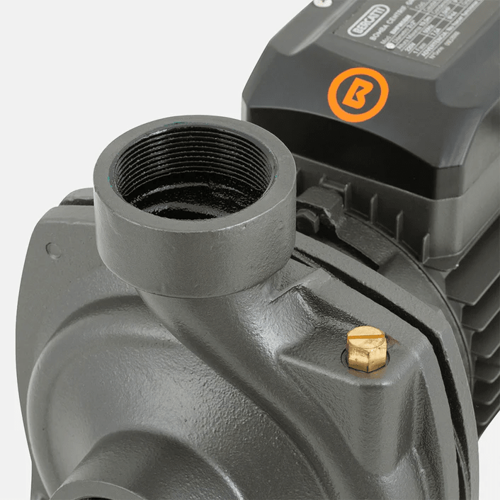 Bomba Superficie Centrifuga Gran Caudal 3HP BERCATTI BHFM6AR3