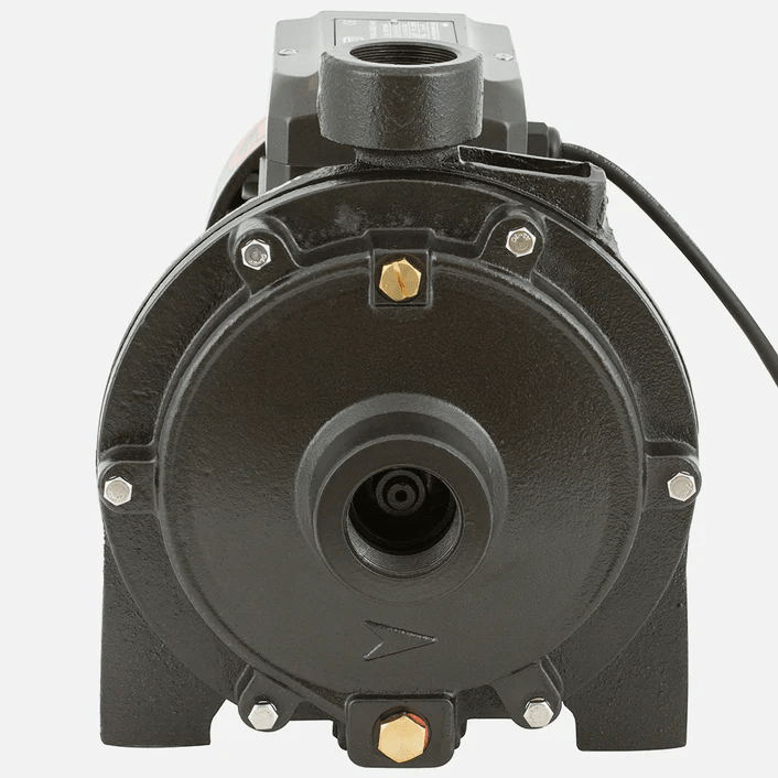 Bomba Superficie Centrífuga Doble Impulsor 1,5HP BERCATTI 2SGPM1403