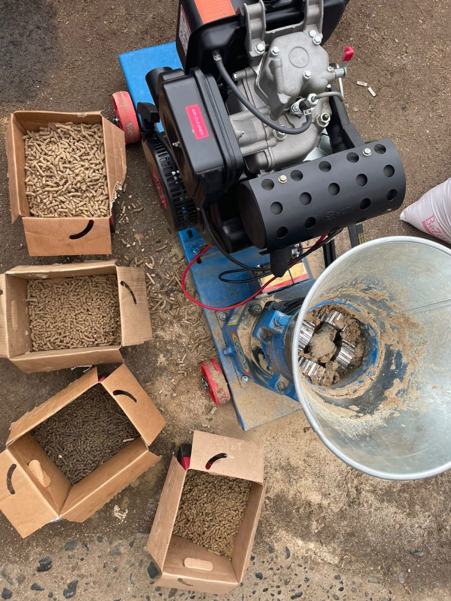 PELETIZADORA DIESEL PROD : 350 KG X HORA 10 hp diesel2