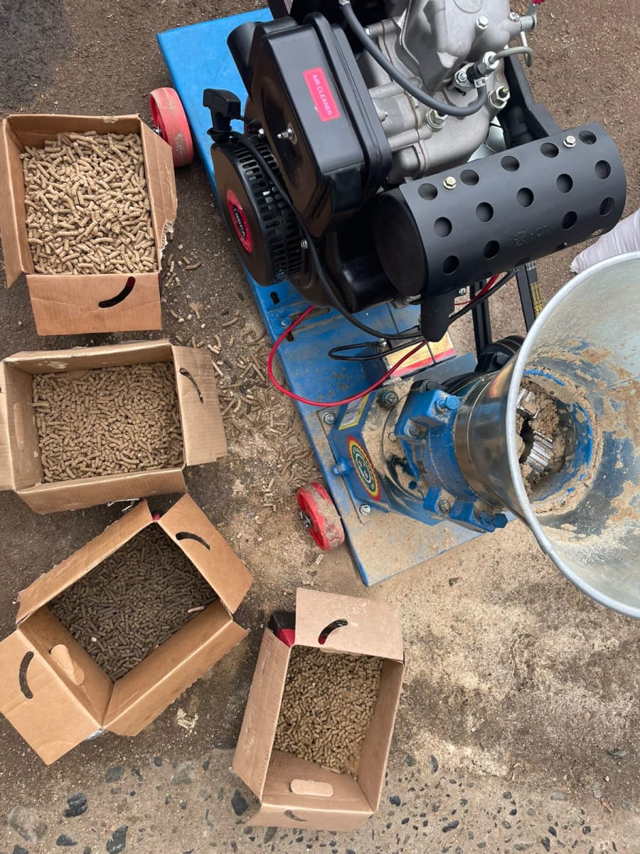 Peletizadora a Diésel 10 HP – Producción 250 kg/h | Máquina para Fabricar pellet de Alimento o Combustible1