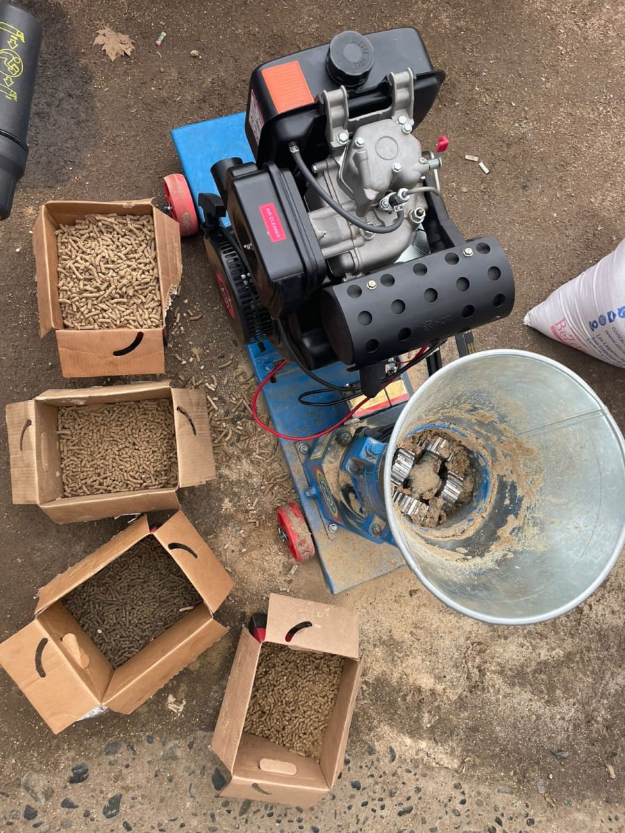 Peletizadora a Diésel 10 HP – Producción 250 kg/h | Máquina para Fabricar pellet de Alimento o Combustible3